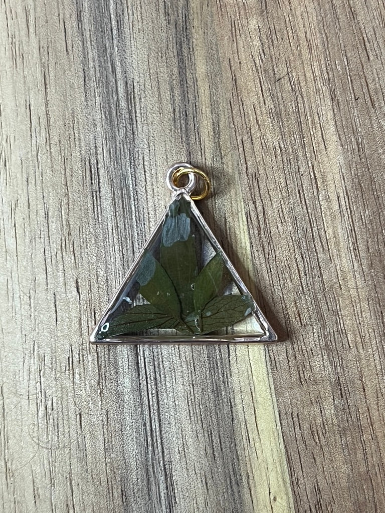 Leaves in a Triangle